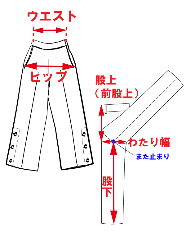 サイズ