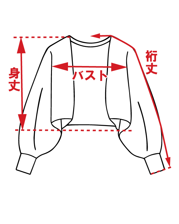 サイズ