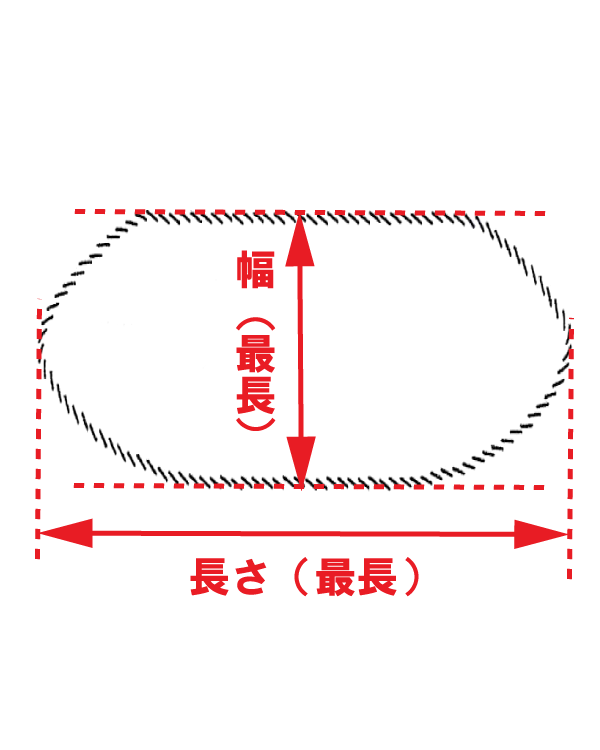 サイズ