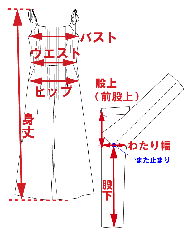 サイズ