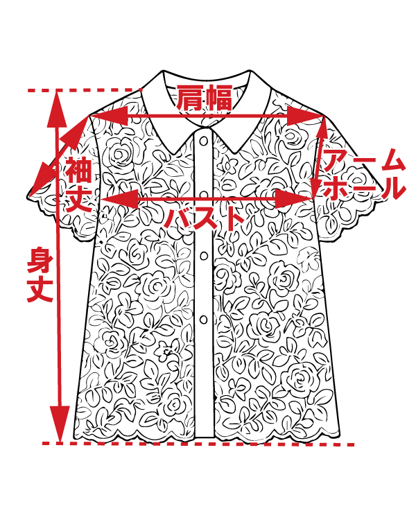 サイズ