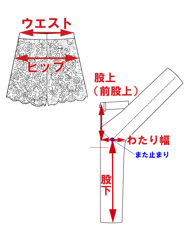 サイズ