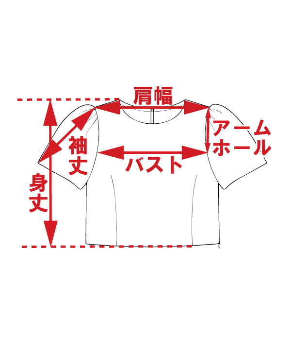サイズ