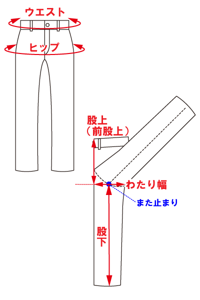 サイズ