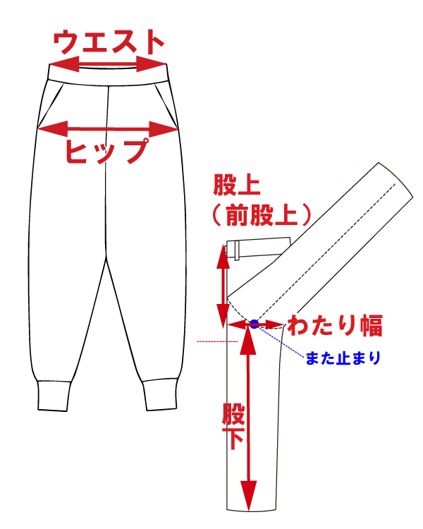 サイズ