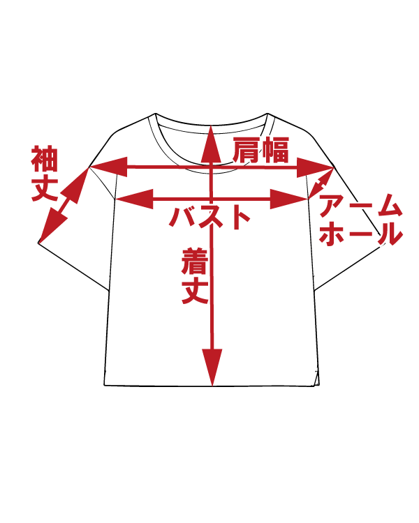 サイズ