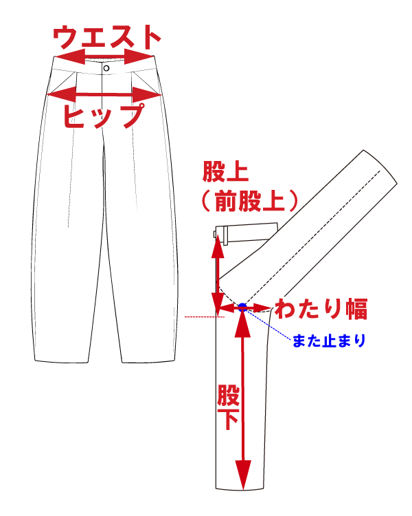 サイズ