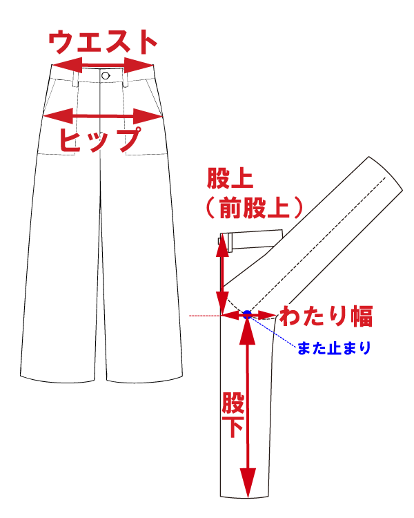 サイズ