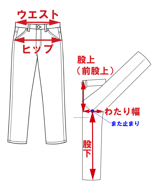サイズ