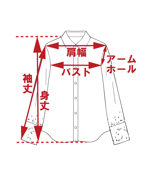 サイズ