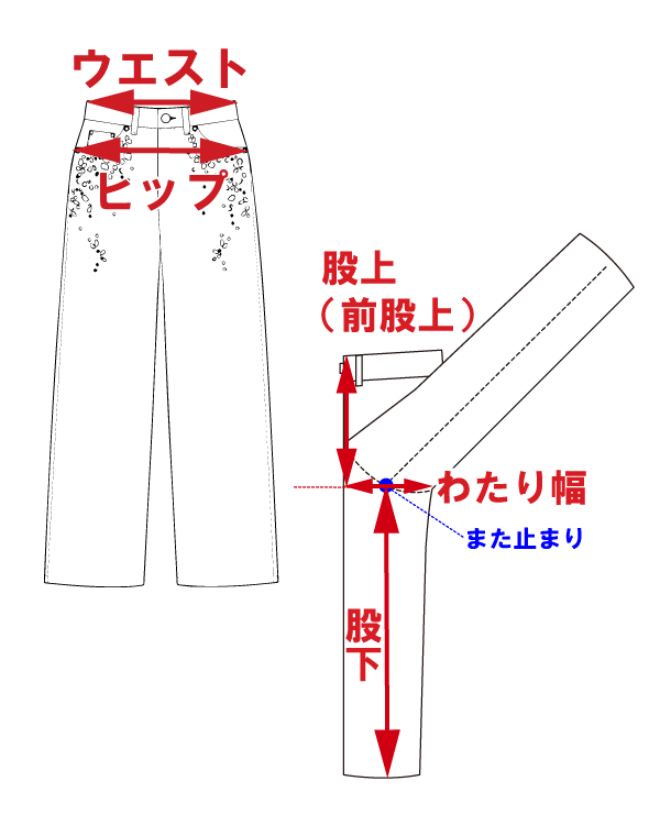 サイズ