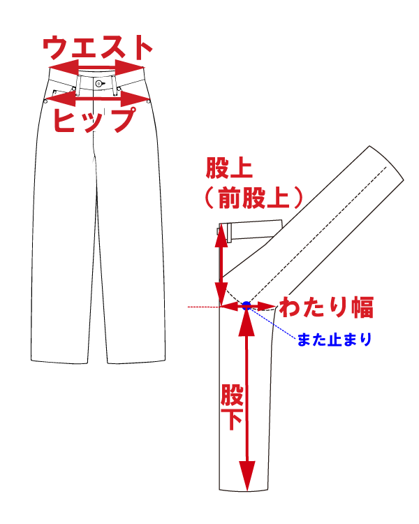 サイズ
