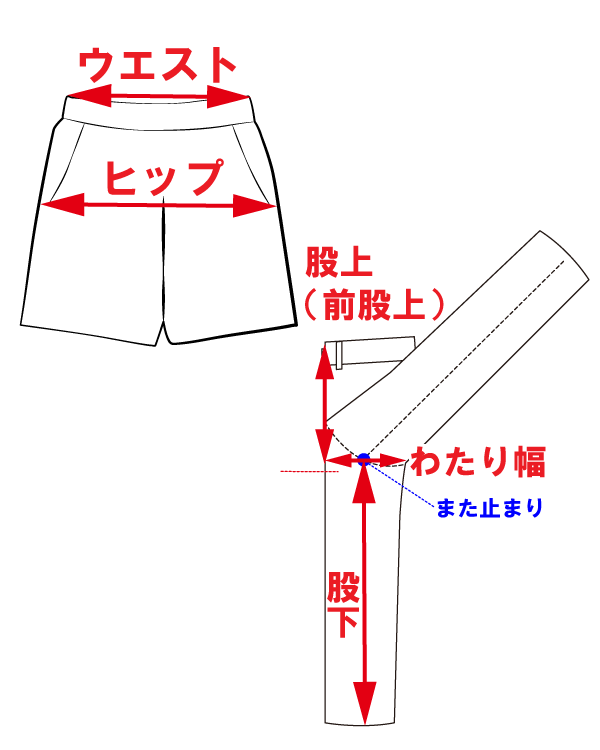 サイズ