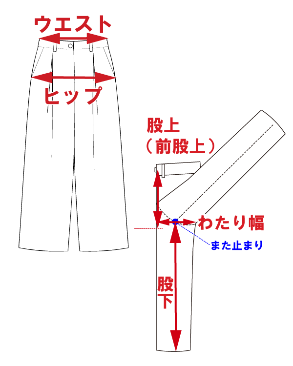 サイズ
