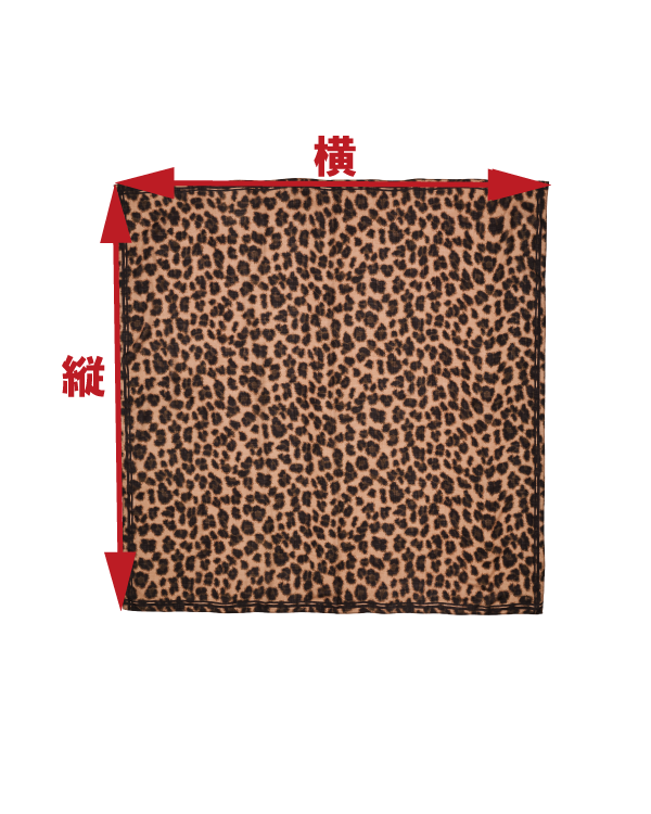 サイズ