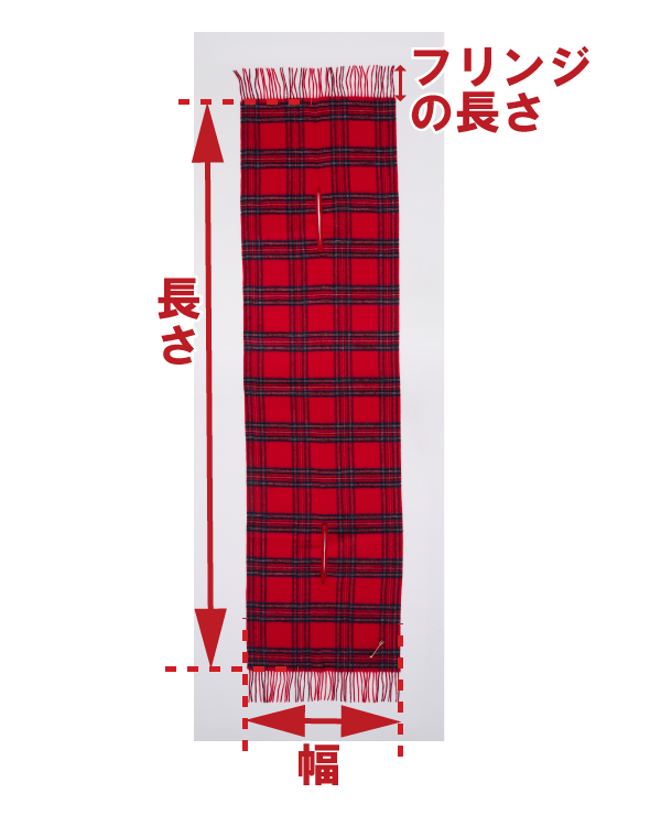 サイズ