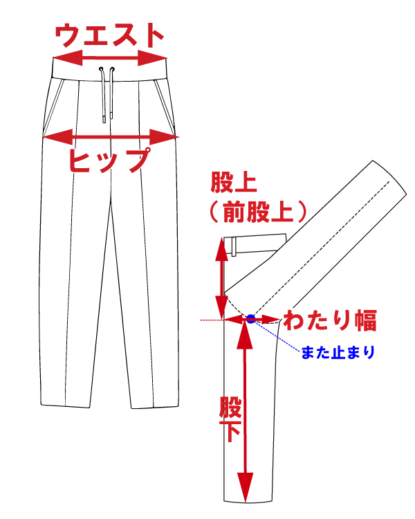 サイズ