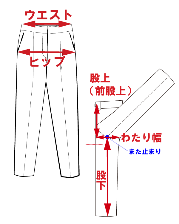 サイズ