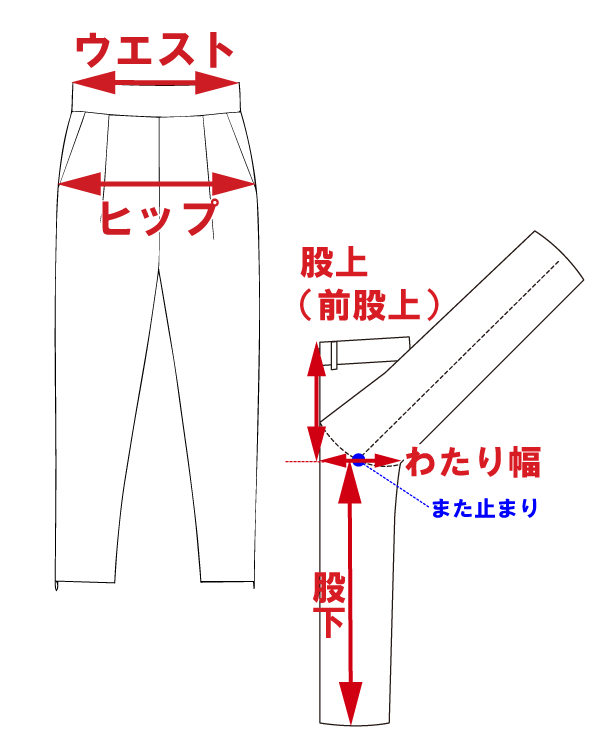 サイズ