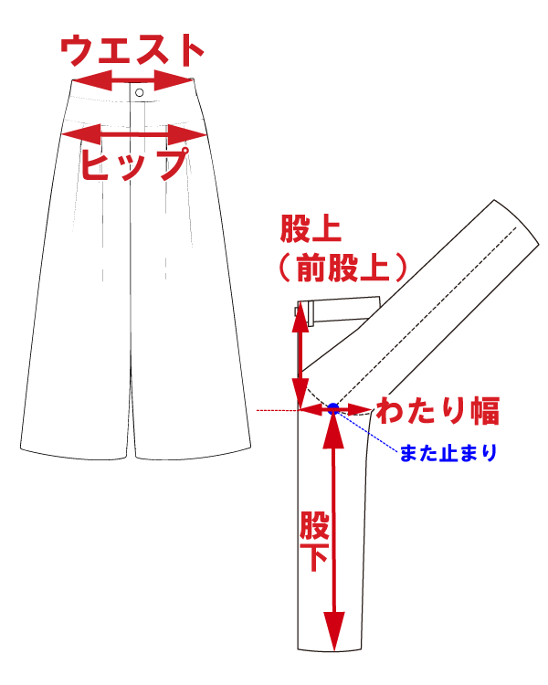 サイズ